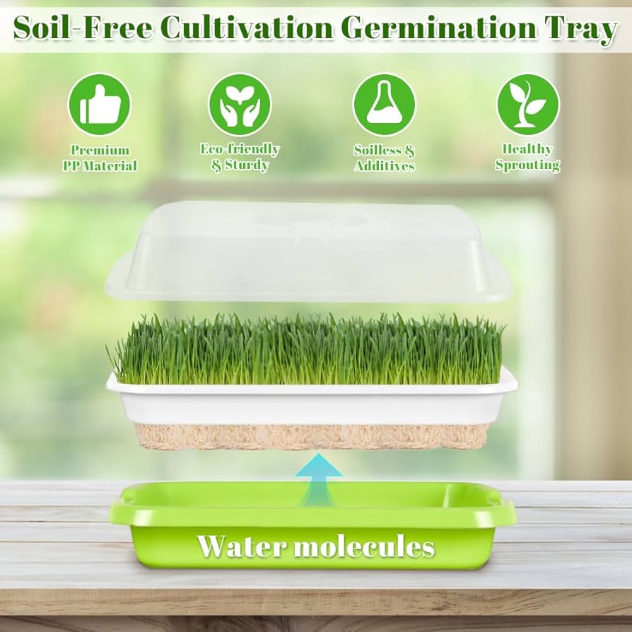 Portable Microgreen Tray