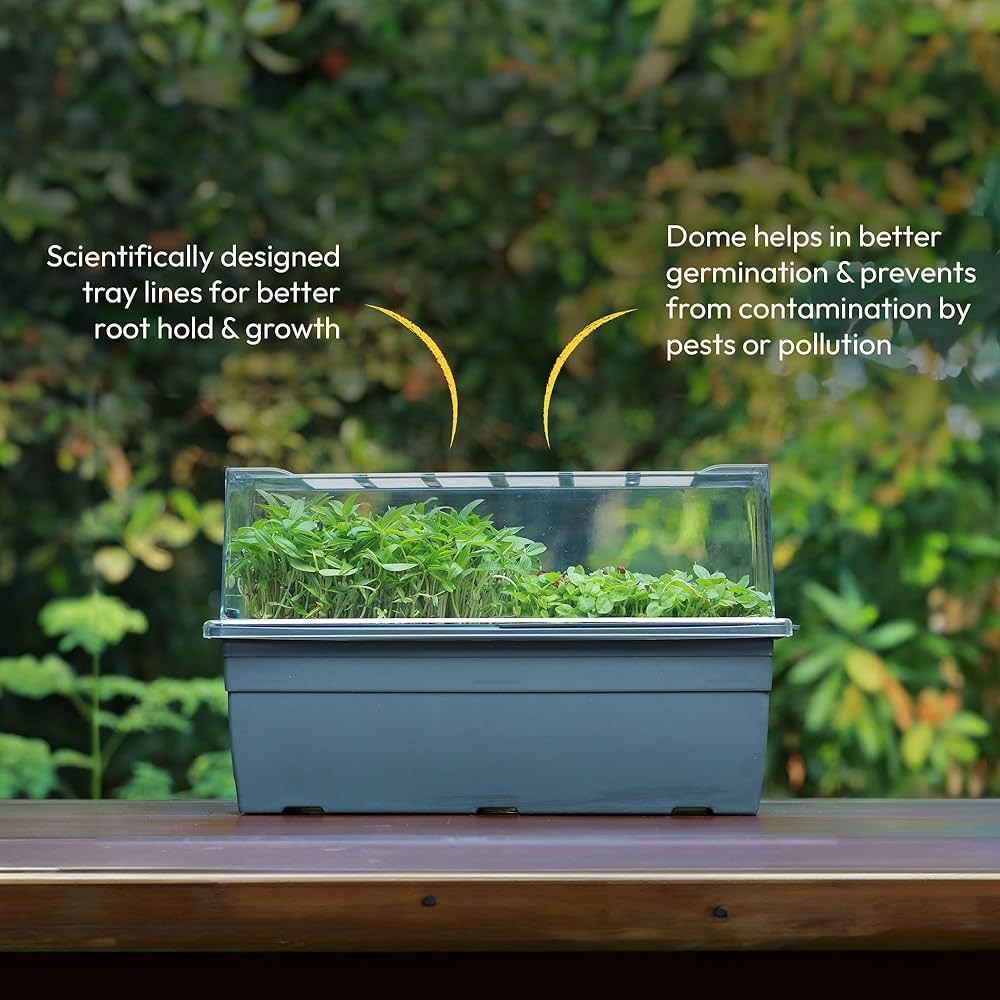 Portable Microgreen Tray