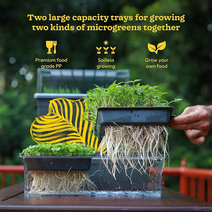 Portable Microgreen Tray