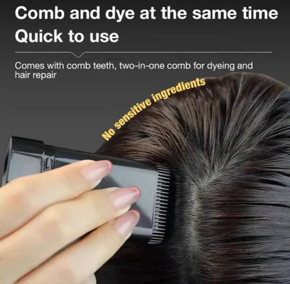 New 2 in 1 Comb Hair Dye